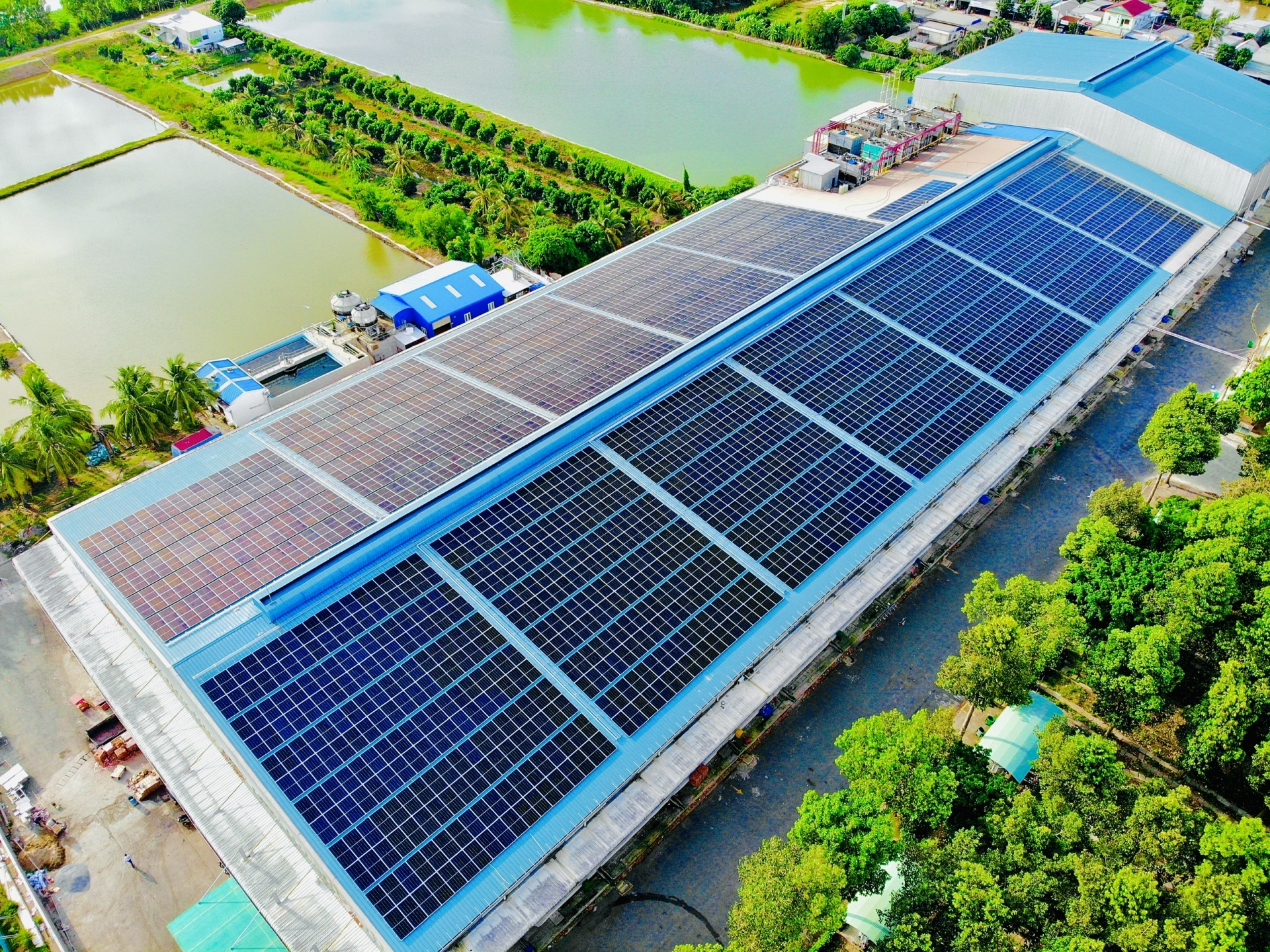 nhà máy Hoàng Long Seafood, điện mặt trời áp mái Hoàng Long, điện mặt trời 
